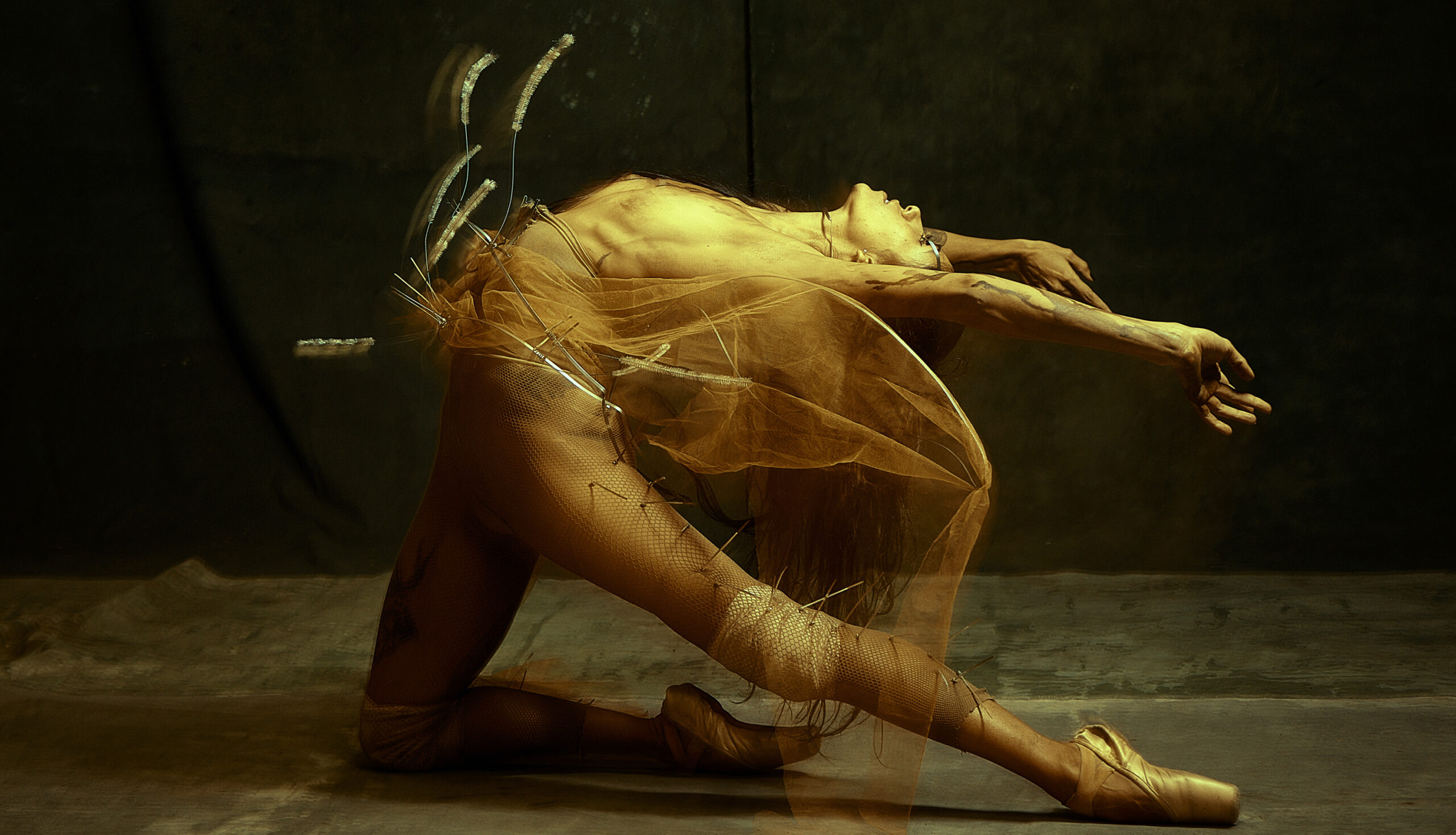 Festival Internacional de Artes Vivas (FIAV) en su segunda edición en Marzo y Abril del 2026